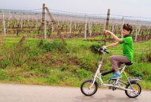 The-wine-route-by-bike-2-days-6