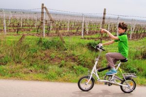 The-wine-route-by-bike-2-days-6