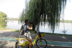 Cyclist in Bucharest herastrau