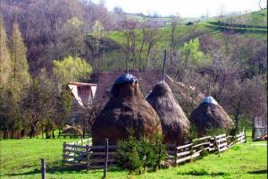 Hay stray traditional Romania